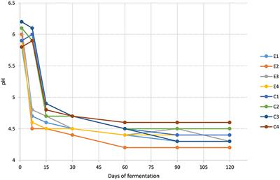 Fermentation of Nocellara Etnea Table Olives by Functional Starter Cultures at Different Low Salt Concentrations